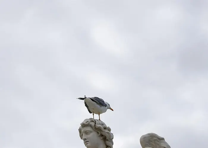 Bright Vatican Апартаменты